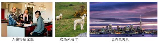 //wsc.laohuji-casinoapp.com/uploadfile/20181010142948348.png
